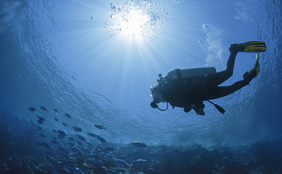 Take a Dive: Deep Network Insights for Deeper Analytics